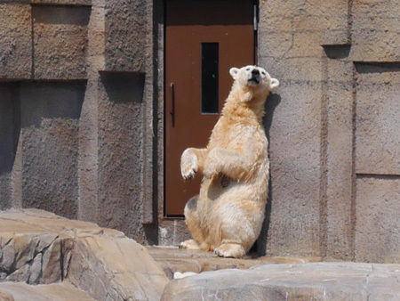 �~�R������