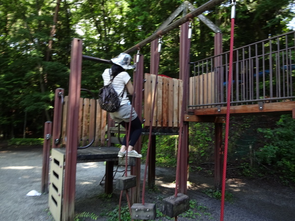 �����Ȍ���