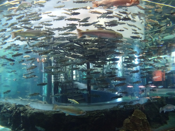 山梨県立 富士湧水の里 水族館(森の水族館)