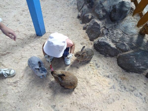 �܂����̖q��