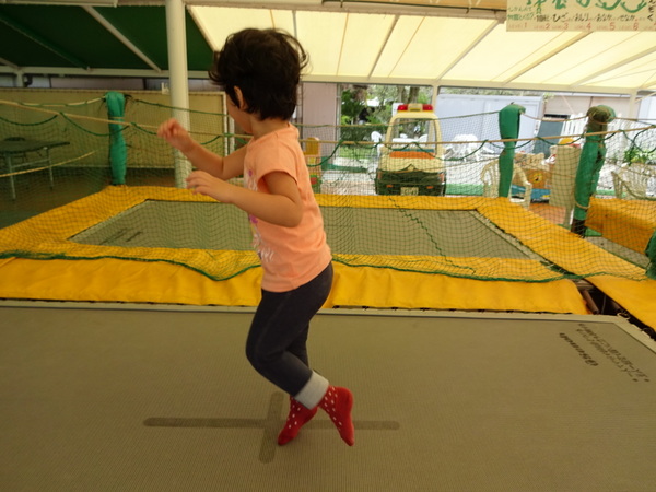 �܂����̖q��