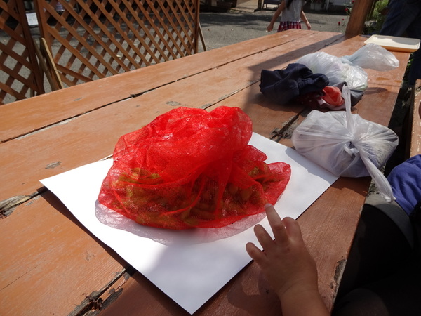 �܂����̖q��