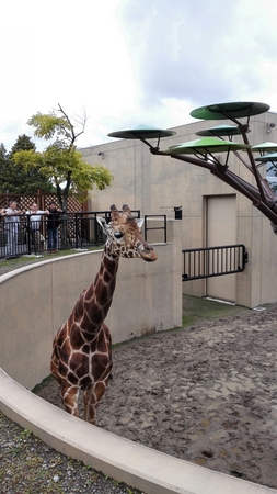 ���R������