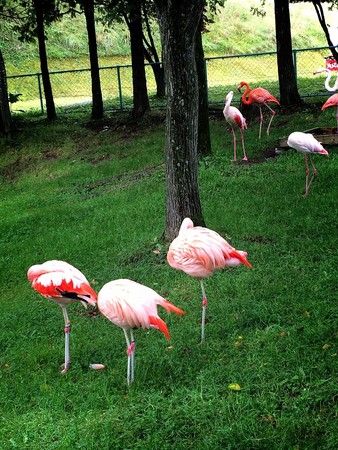 ���R������