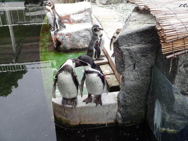 姫路市立水族館