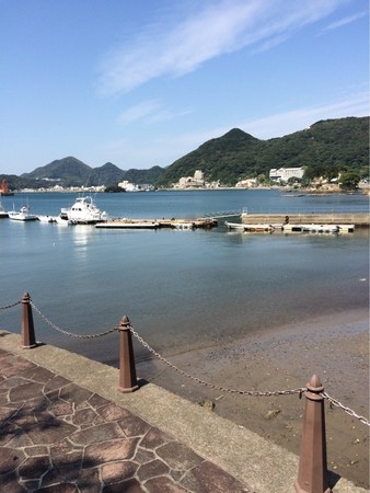 �n���X�̏��a