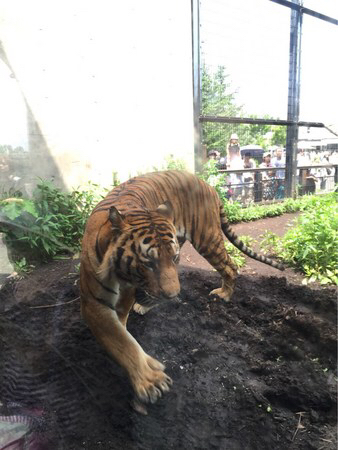 ���R������