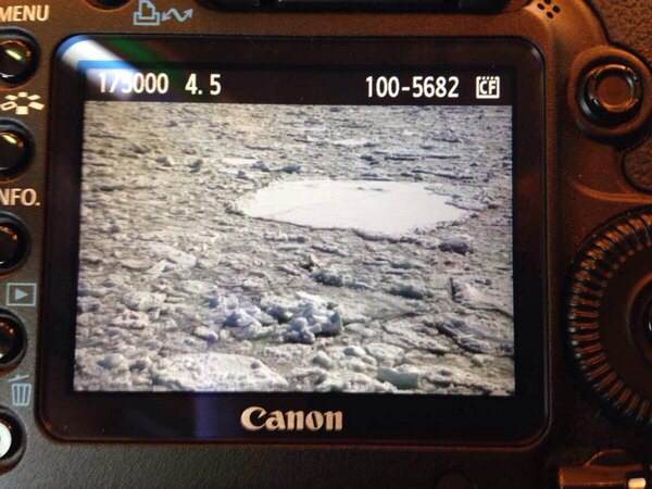 �I�z�[�c�N�C�̗��X