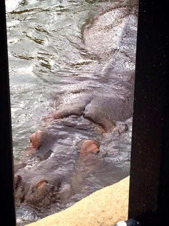 ���R������