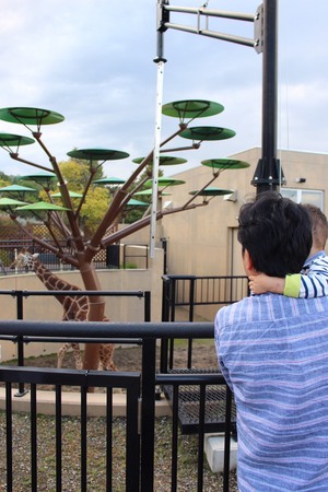 ���R������