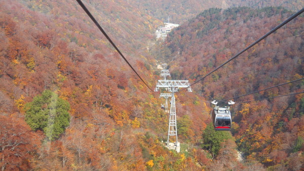 日本全県47選 楽ちん登山 車 ケーブルカー ロープウェイで登れる山はココ じゃらんニュース