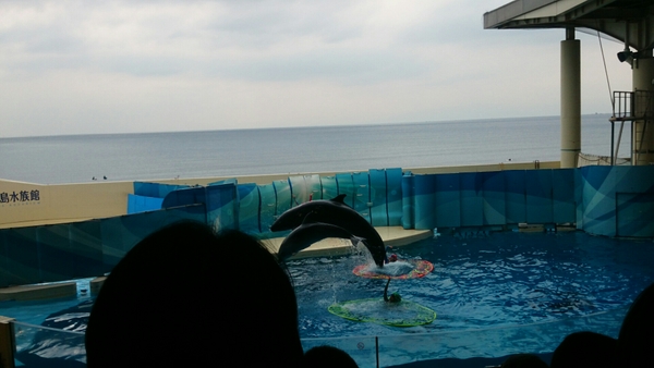 �V�]�m��������