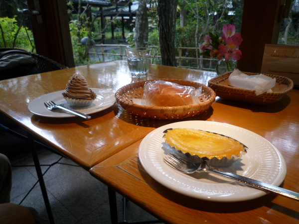 �e�B�[���[���j�R��