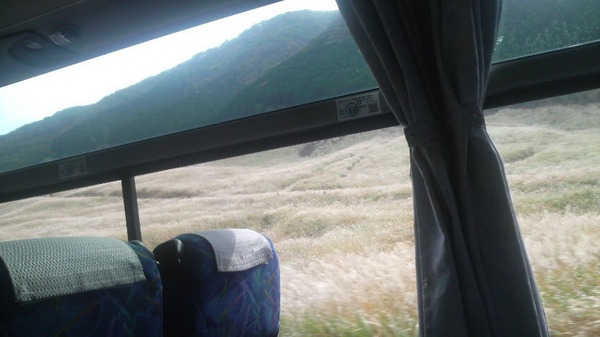 ��Ό�����