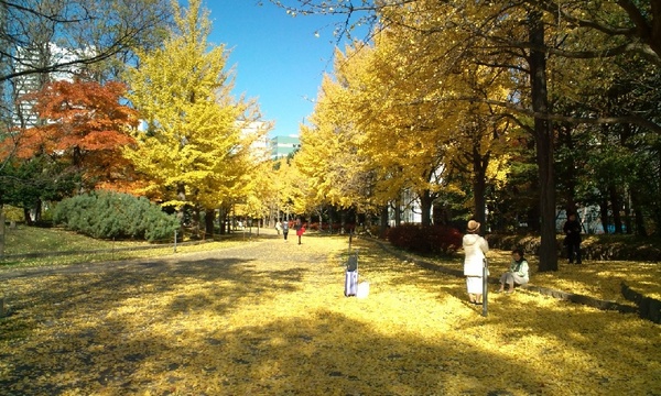 中島公園