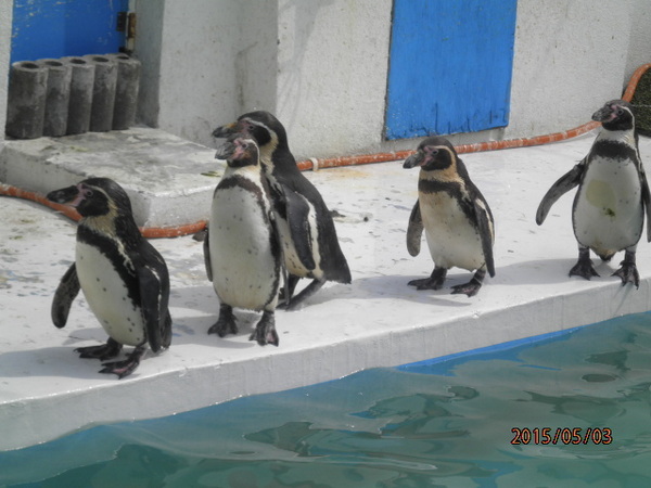 �m�V���b�v����������