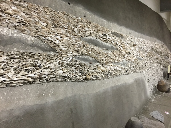 �������L�ˊ�