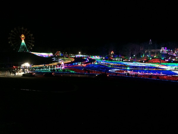 �����h�C�c��