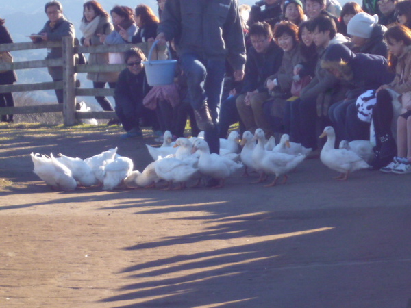 �}�U�[�q��