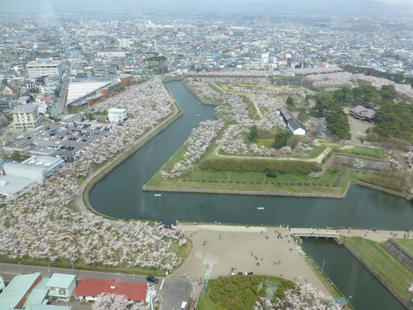 �ܗŊs�����̍�