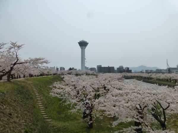 �ܗŊs�����̍�