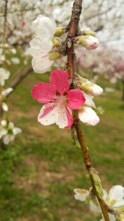 �э≷��Ԃ����̗�