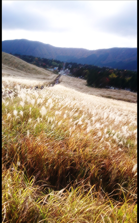 ��Ό�����