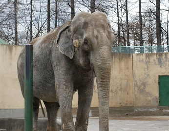 ���тЂ듮����