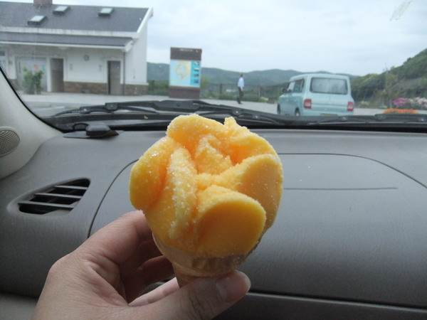 �T���Z�b�g�I�[�V����202