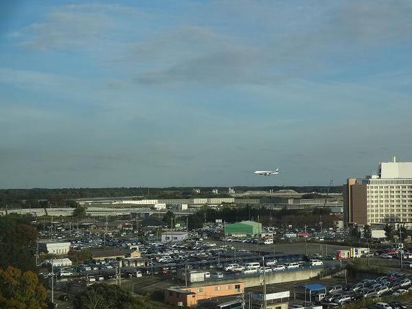 �z�e�����q���c