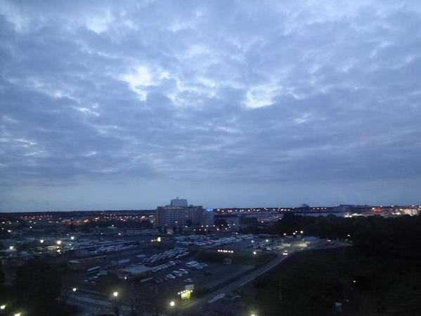 �z�e�����q���c