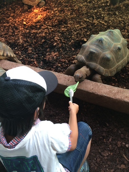 �̊��^������ iZoo