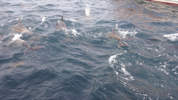 �C���J�E�H�b�`���O�i���̉w �V���s�C���J�Z���^�[�j