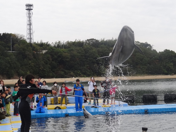 ���{�h���t�B���Z���^�[