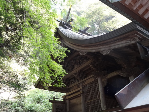 �����ӂ�_��