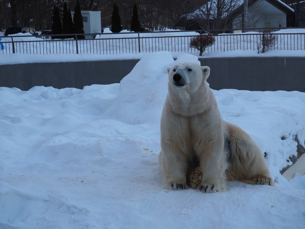 �~�R������