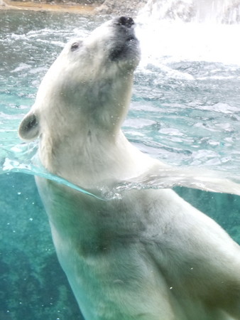 ���R������