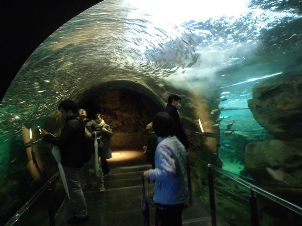 ���֎s�������̂��������فE�C����