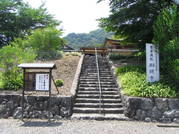 �蓿��