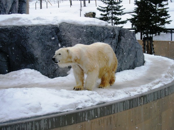 ���R������