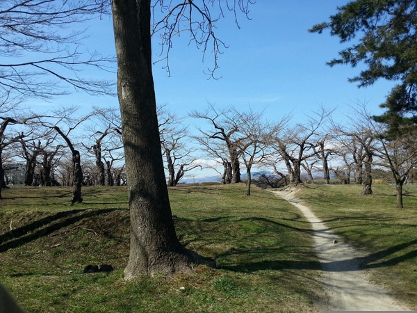 �ܗŊs����