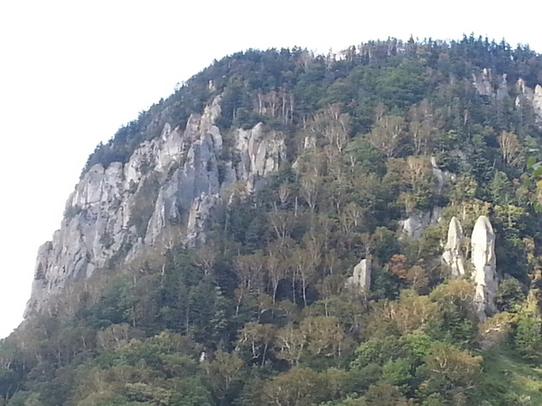 �w�_���̗o���ÊD�⒌��ߗ�