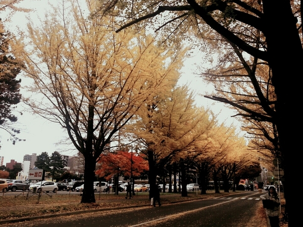 �k��C�`���E����