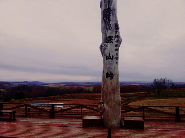 �[�R���W�]��