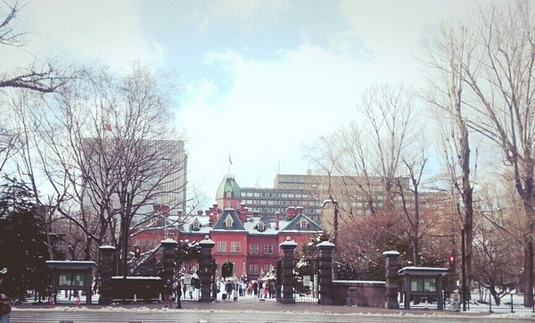 �k�C�������{����(�Ԃ�񂪒���)