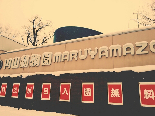 �~�R������