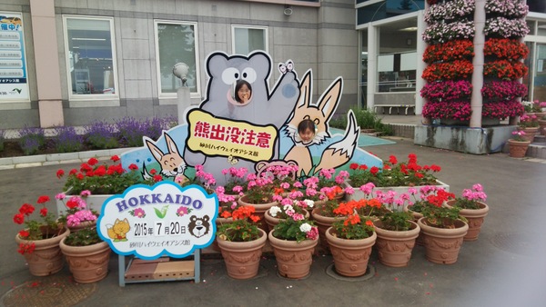 �k�C���q�ǂ��̍�