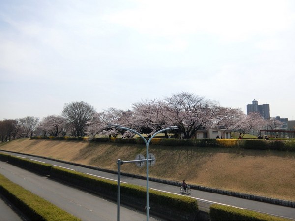 ���c����q��L�O����