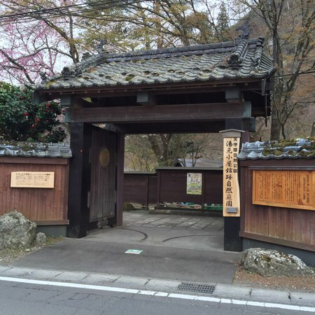 �V��t���R�����@�s���Y�̓�