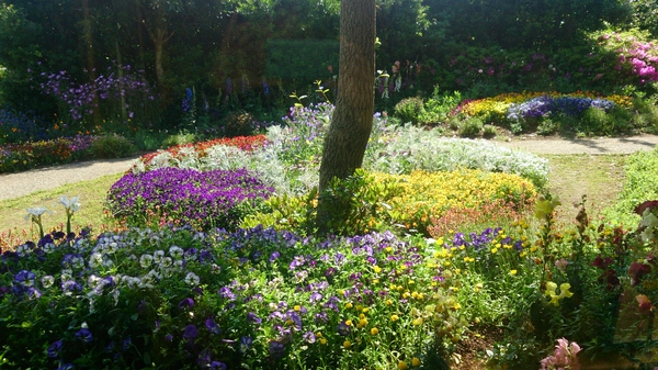 ���̉w�Ƃ݂�����f��y��